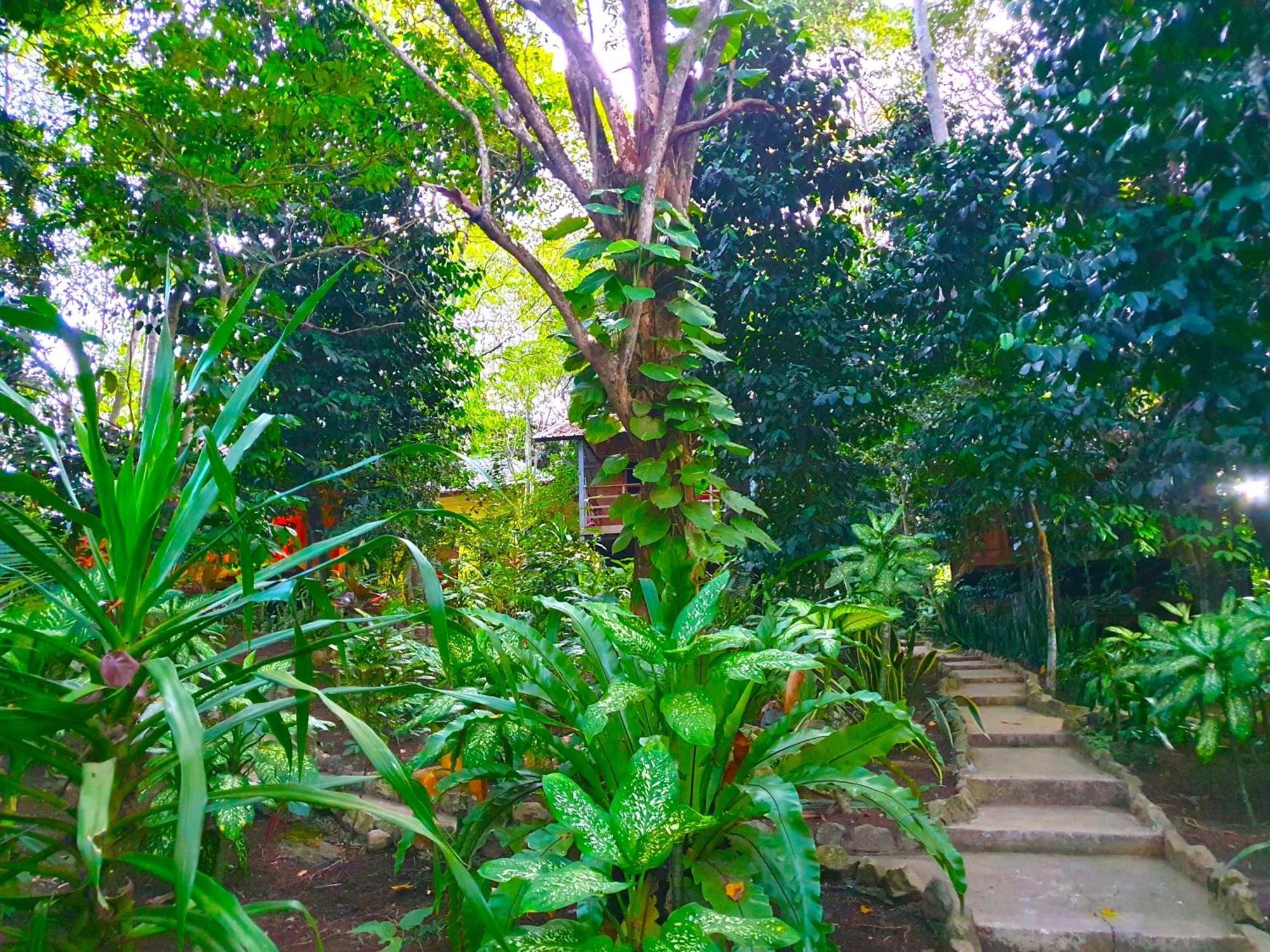 Santi Garden Bungalows 爱宝伊 外观 照片